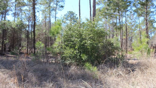 Onalaska null-story, null-bed 6-2 N HWY 356-idx