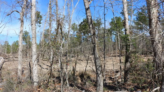 Onalaska null-story, null-bed 6-2 N HWY 356-idx