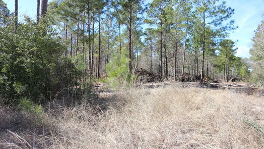 Onalaska null-story, null-bed 6-2 N HWY 356-idx