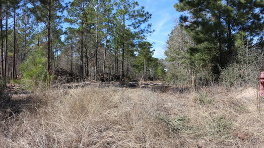 Onalaska null-story, null-bed 6-2 N HWY 356-idx