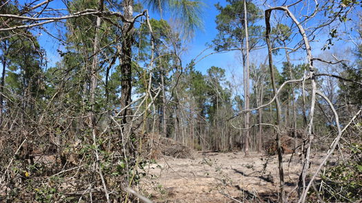 Onalaska null-story, null-bed 6-2 N HWY 356-idx