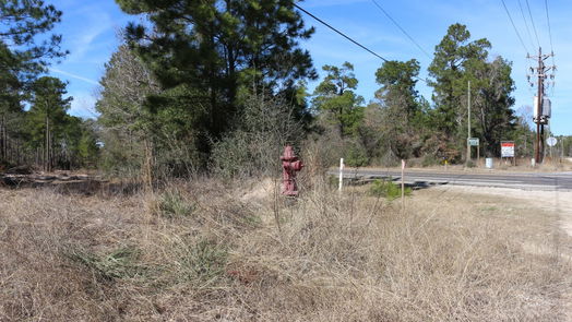 Onalaska null-story, null-bed 6-2 N HWY 356-idx