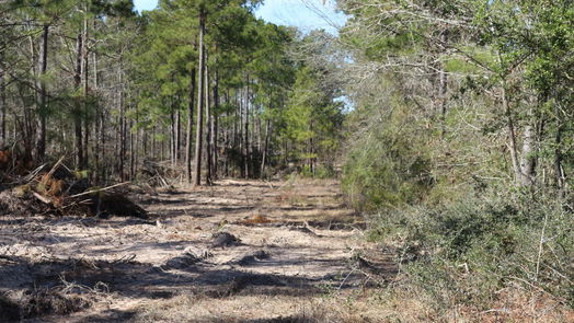 Onalaska null-story, null-bed 6-2 N HWY 356-idx