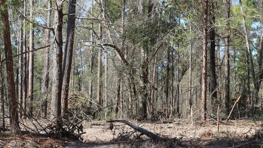 Onalaska null-story, null-bed 6-2 N HWY 356-idx