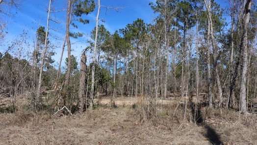 Onalaska null-story, null-bed 6-2 N HWY 356-idx