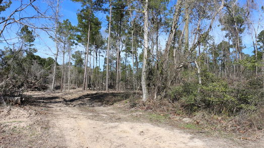 Onalaska null-story, null-bed 6-2 N HWY 356-idx