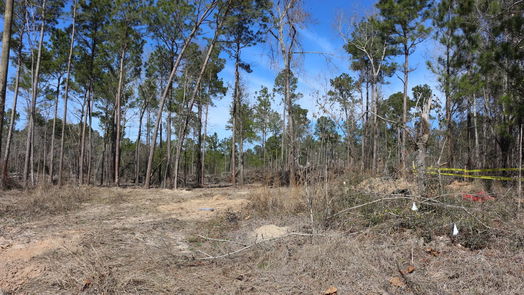 Onalaska null-story, null-bed 6-2 N HWY 356-idx