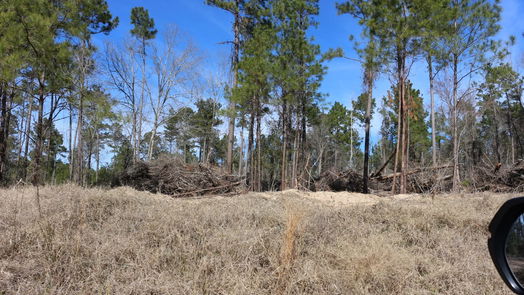 Onalaska null-story, null-bed 6-2 N HWY 356-idx