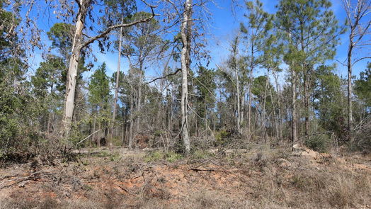 Onalaska null-story, null-bed 6-2 N HWY 356-idx