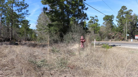 Onalaska null-story, null-bed 6-2 N HWY 356-idx