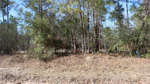 Onalaska null-story, null-bed 6-2 N HWY 356-idx