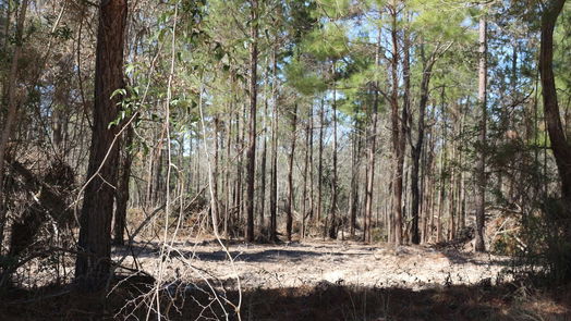 Onalaska null-story, null-bed 6-2 N HWY 356-idx