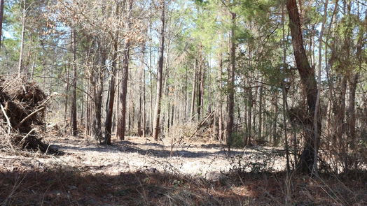 Onalaska null-story, null-bed 6-2 N HWY 356-idx