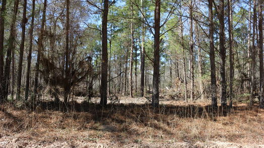 Onalaska null-story, null-bed 6-2 N HWY 356-idx