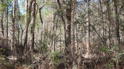 Onalaska null-story, null-bed 6-2 N HWY 356-idx