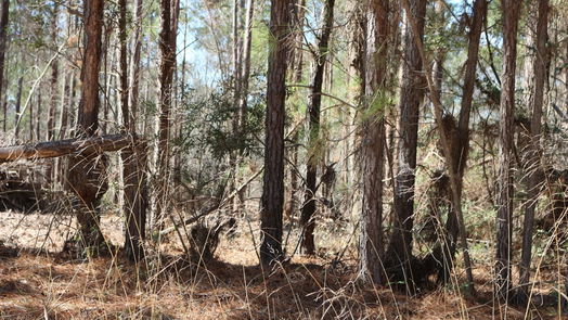 Onalaska null-story, null-bed 6-2 N HWY 356-idx