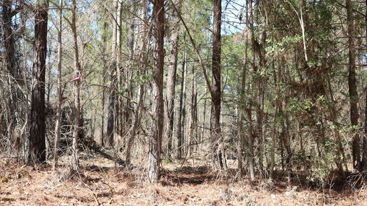 Onalaska null-story, null-bed 6-2 N HWY 356-idx