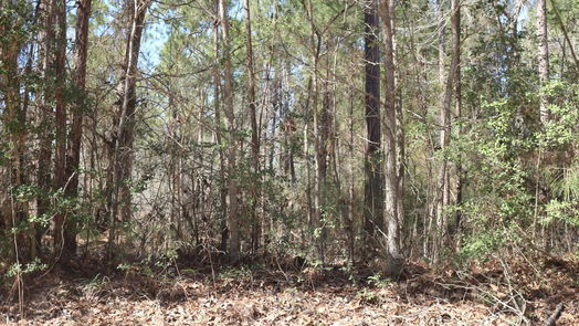 Onalaska null-story, null-bed 6-2 N HWY 356-idx