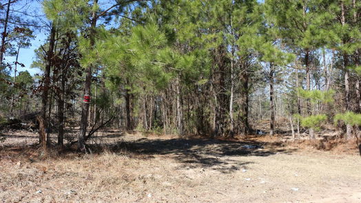 Onalaska null-story, null-bed 6-2 N HWY 356-idx