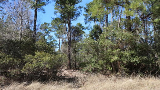 Onalaska null-story, null-bed 6-2 N HWY 356-idx