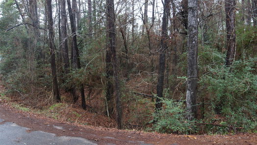 Onalaska null-story, null-bed TBD S Sunset Drive-idx