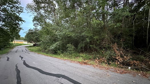 Onalaska null-story, null-bed 246 Hickory Drive-idx