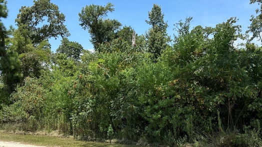 Onalaska null-story, null-bed Lot 42 Hereford-idx