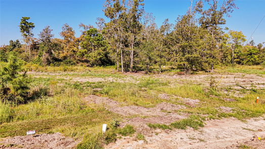 Onalaska null-story, null-bed 016 falcon point-idx