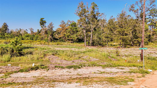 Onalaska null-story, null-bed 016 falcon point-idx