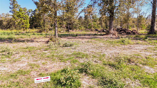 Onalaska null-story, null-bed 016 falcon point-idx