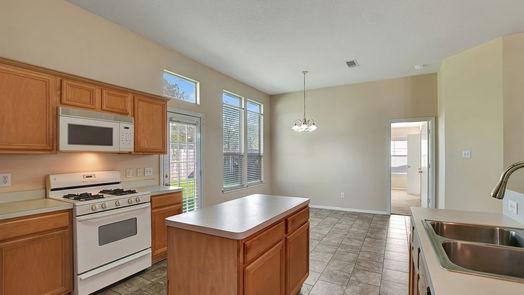 Pinehurst 1-story, 4-bed 11907 Belle Court-idx