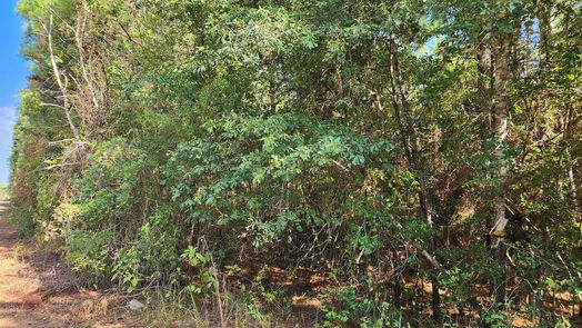Plantersville null-story, null-bed Lot 15 & 16 Tawnyberry Lane-idx