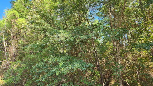 Plantersville null-story, null-bed Lot 15 & 16 Tawnyberry Lane-idx