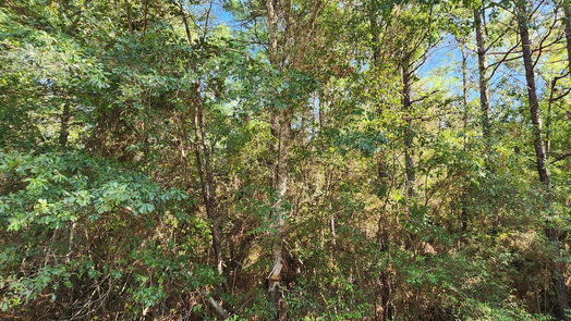 Plantersville null-story, null-bed Lot 15 & 16 Tawnyberry Lane-idx