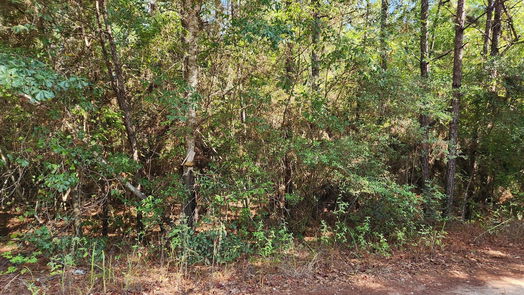 Plantersville null-story, null-bed Lot 15 & 16 Tawnyberry Lane-idx