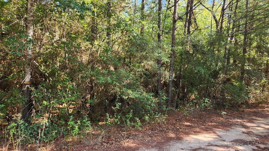 Plantersville null-story, null-bed Lot 15 & 16 Tawnyberry Lane-idx