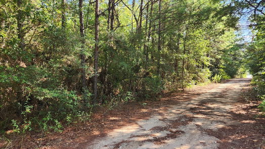 Plantersville null-story, null-bed Lot 15 & 16 Tawnyberry Lane-idx