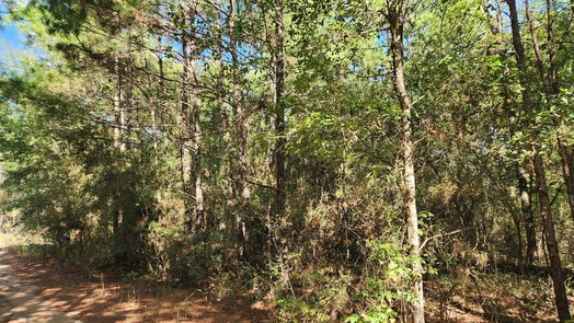 Plantersville null-story, null-bed Lot 15 & 16 Tawnyberry Lane-idx