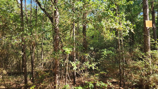 Plantersville null-story, null-bed Lot 15 & 16 Tawnyberry Lane-idx