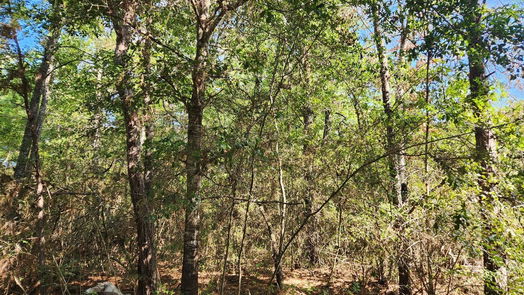 Plantersville null-story, null-bed Lot 15 & 16 Tawnyberry Lane-idx