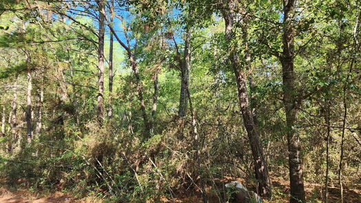 Plantersville null-story, null-bed Lot 15 & 16 Tawnyberry Lane-idx