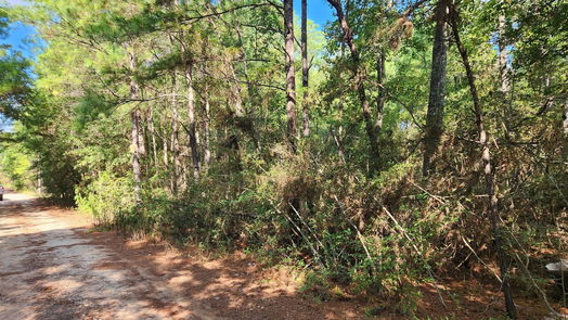Plantersville null-story, null-bed Lot 15 & 16 Tawnyberry Lane-idx