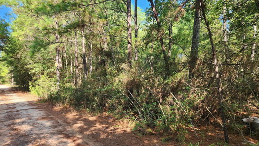 Plantersville null-story, null-bed Lot 15 & 16 Tawnyberry Lane-idx