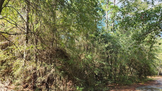 Plantersville null-story, null-bed Lot 15 & 16 Tawnyberry Lane-idx