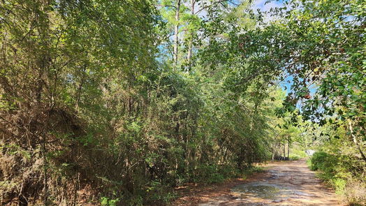 Plantersville null-story, null-bed Lot 15 & 16 Tawnyberry Lane-idx