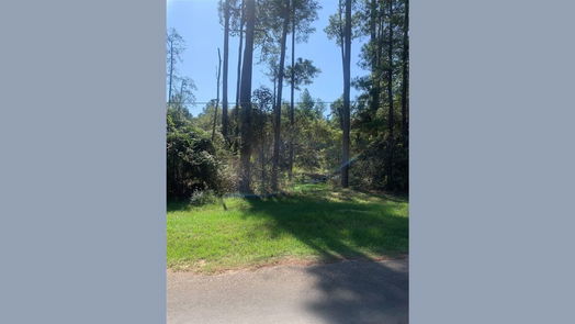 Plantersville null-story, null-bed 000 Shady Lane-idx