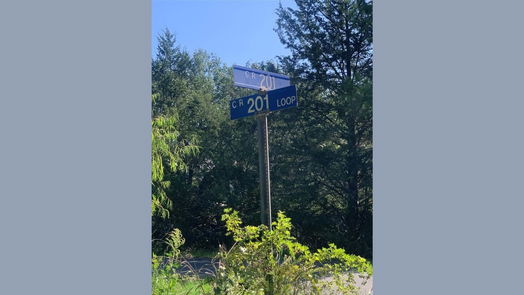 Plantersville null-story, null-bed 000 Shady Lane-idx