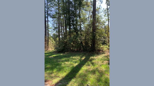 Plantersville null-story, null-bed 000 Shady Lane-idx