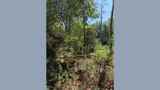 Plantersville null-story, null-bed 000 Shady Lane-idx