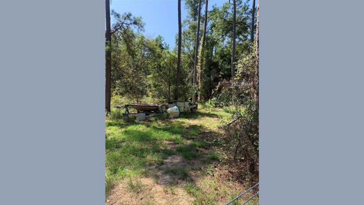 Plantersville null-story, null-bed 000 Shady Lane-idx